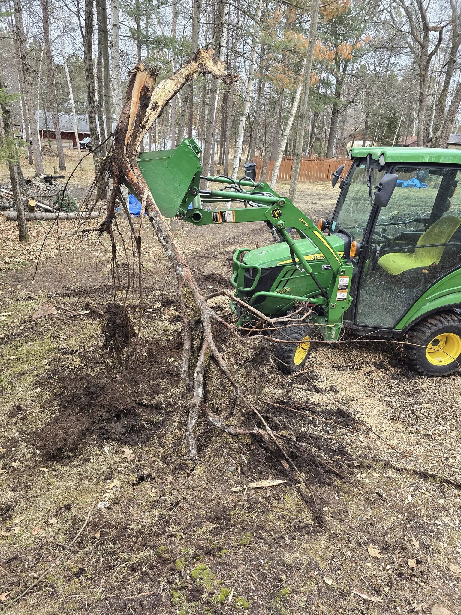 Root and stump removal